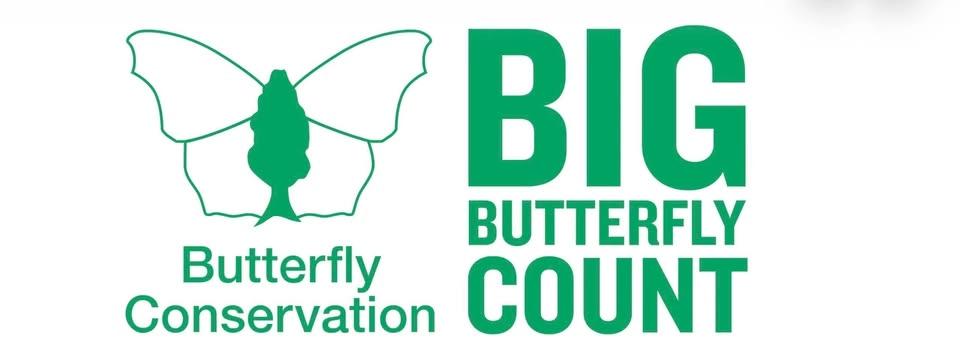 Park View 4U's Big Butterfly Count