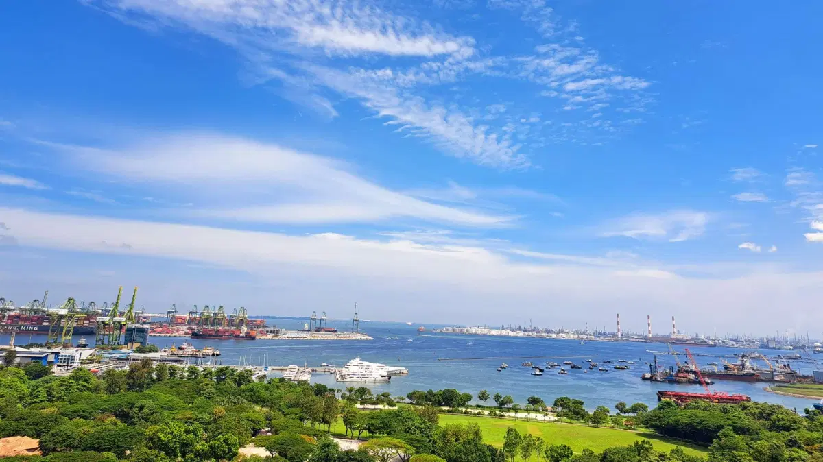 Walk from Pasir Panjang to Clementi & A Sky Garden View đ€©đâïžâŽïžđ¶ââïž