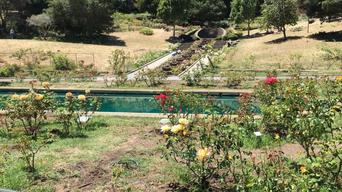 A Walk Through Oakland's Best Flower Gardens & Great Views Too!