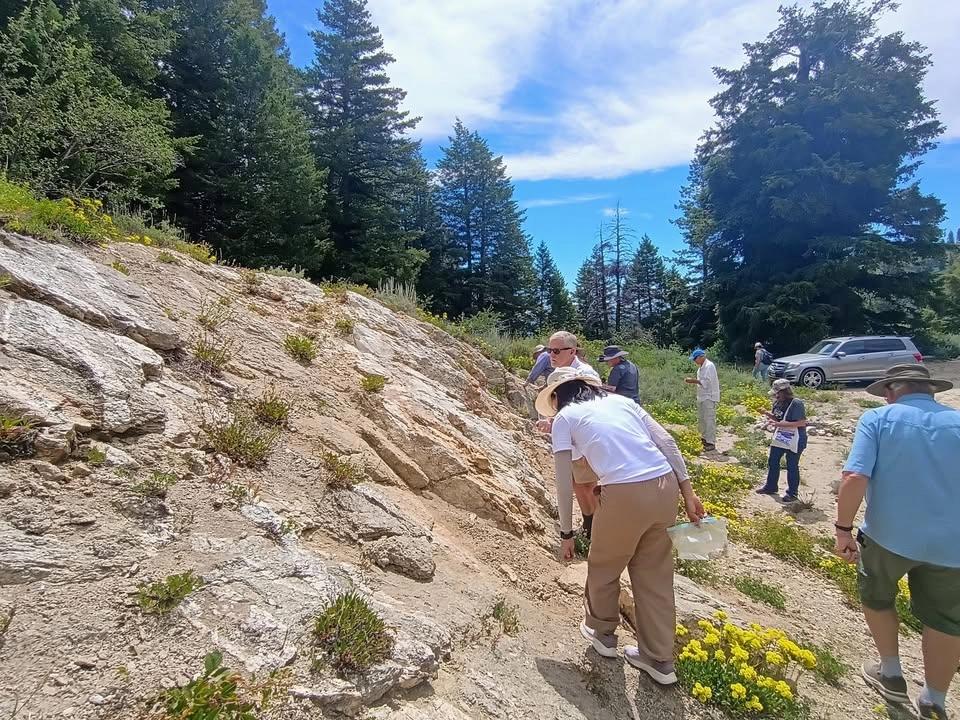 🏔️ Bogus Basin: Granite, Gold & Wildflowers 🏔️