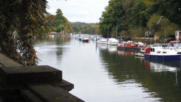 THAMESPATH🌲🌱🌿 💧£5 WALK - RICHMOND to BOSTON MANOR