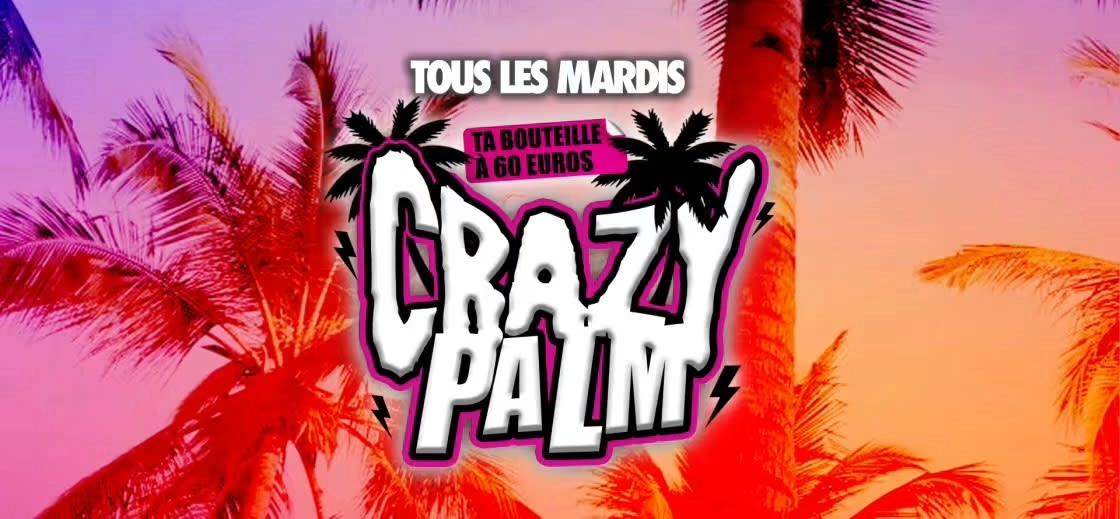 Crazy Palm I Palmeraie