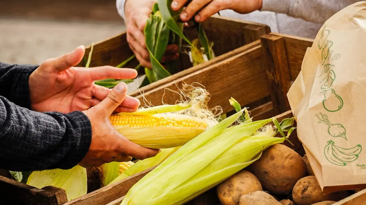 Utställarplats - Skördefesten i Hjo 2026