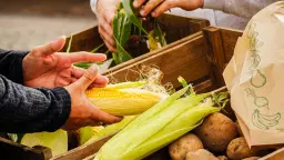 Utställarplats - Skördefesten i Hjo 2026