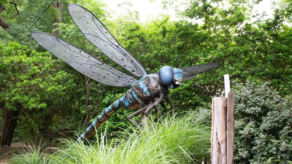 Bug Day at PGA Frisco