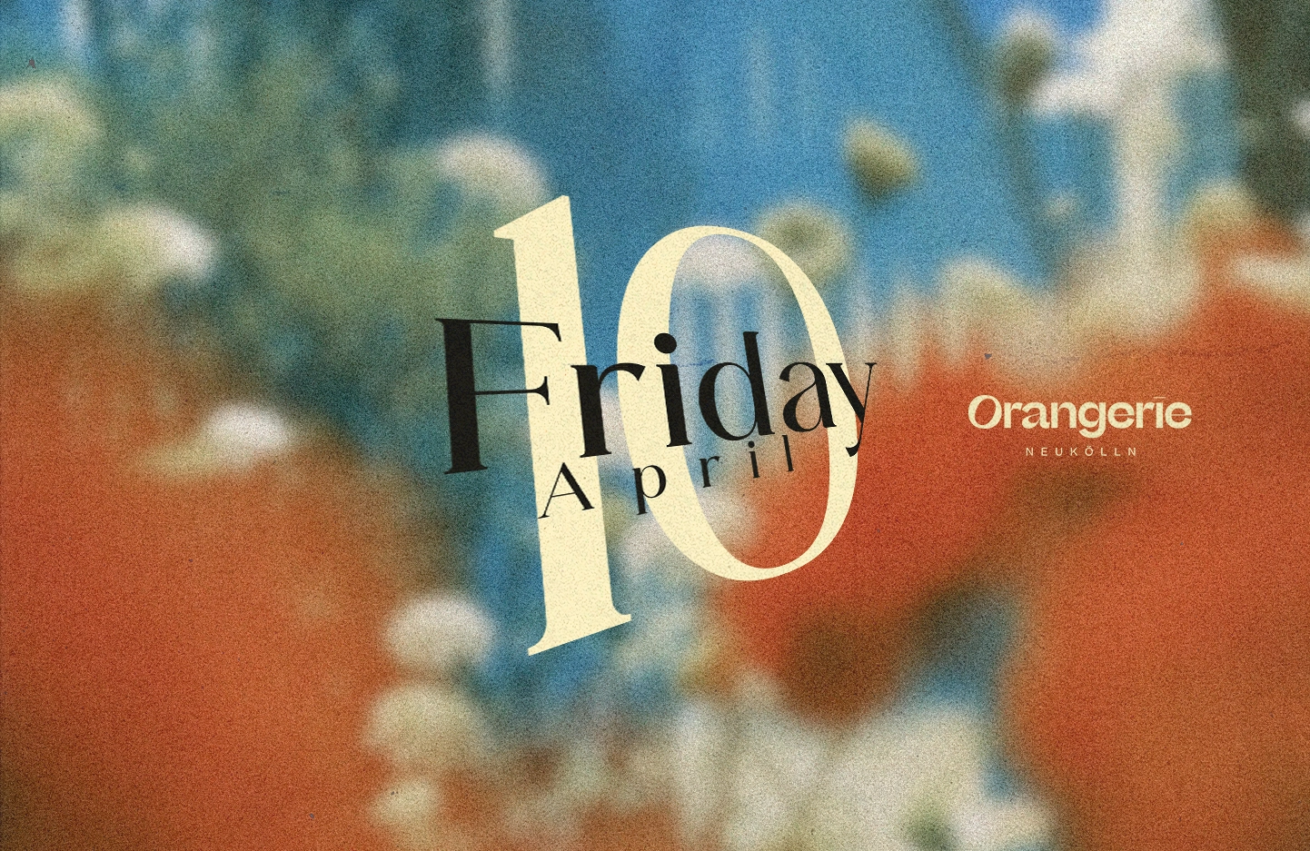 Friday • Olsvangèr & Shira Kela