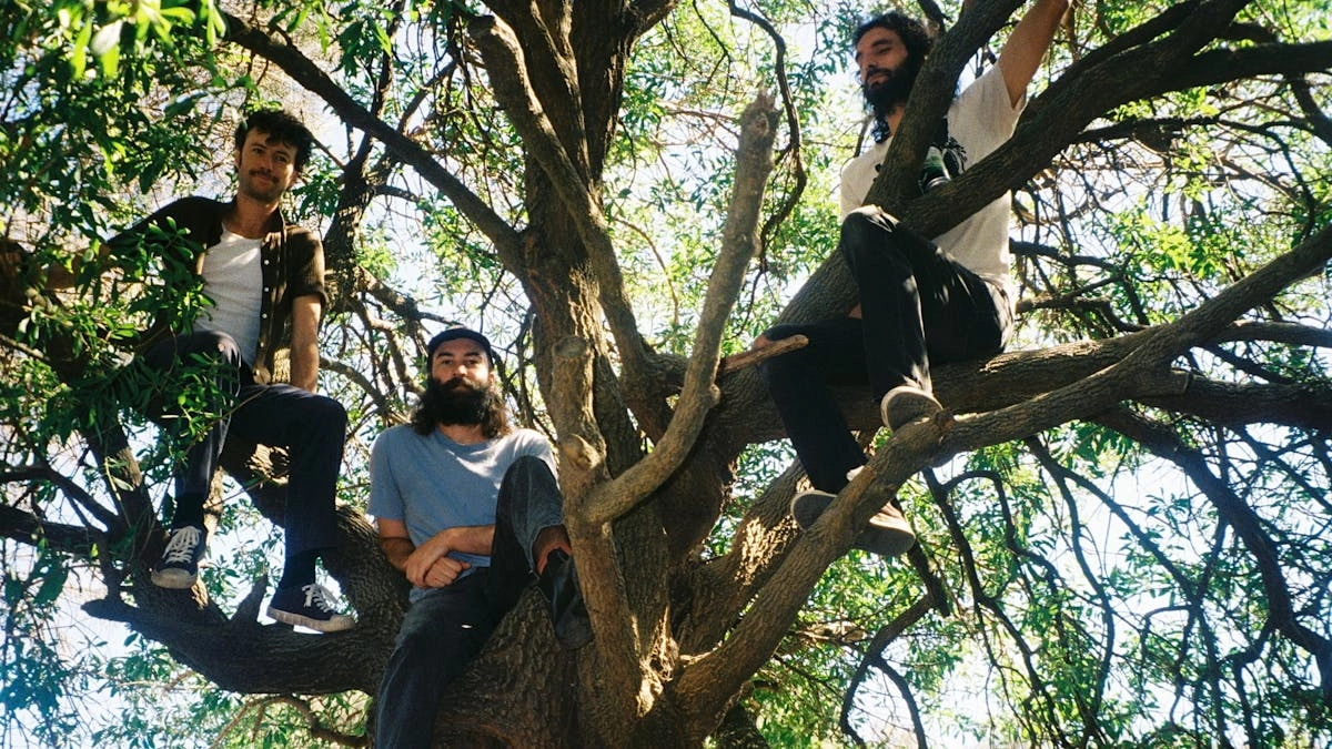 ORB + TRÄDEN | HUS 7