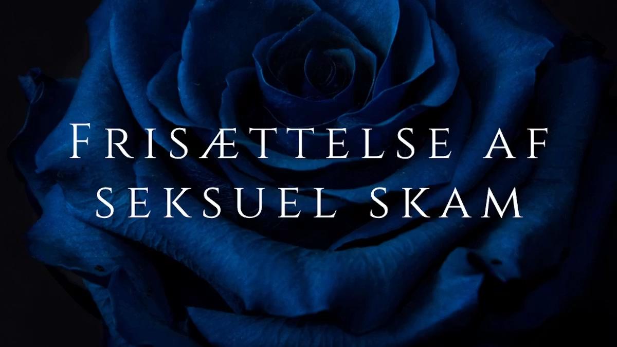 Frisættelse af seksuel skam i Århus