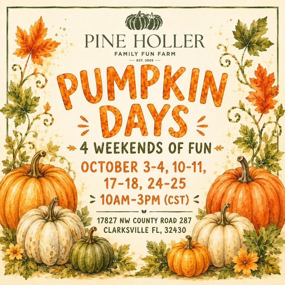 Pumpkin Days at Pine Holler