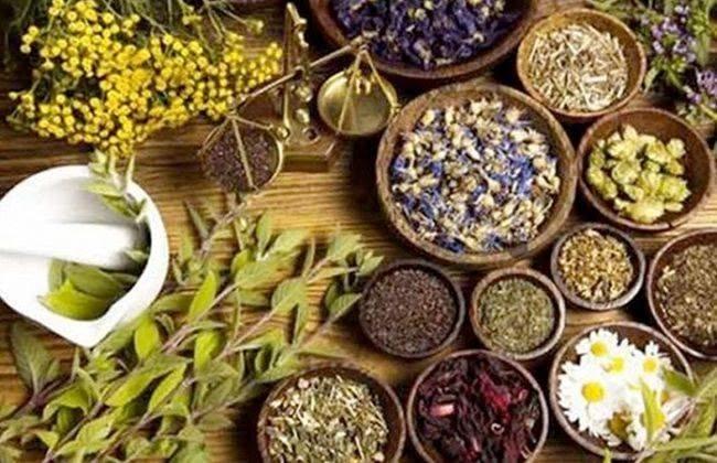 مشروعات النباتات الطبية والعطرية للبنات