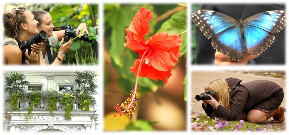 Fotopraxis Pur ! Palmengarten & Schmetterlingshaus - Einfach schönere Fotos - 1 ganzer nur Tag 44.-