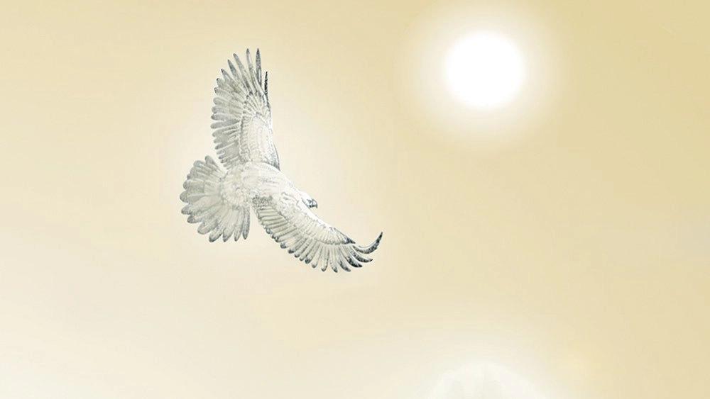 Werde ein Licht für die Welt - ECK Licht und Ton Gottesdienst