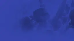 Sommarkonsert med 4EF och 7EF