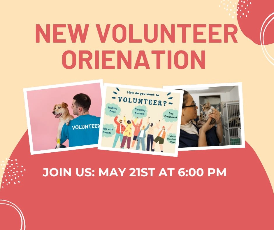 New Volunteer Orientation