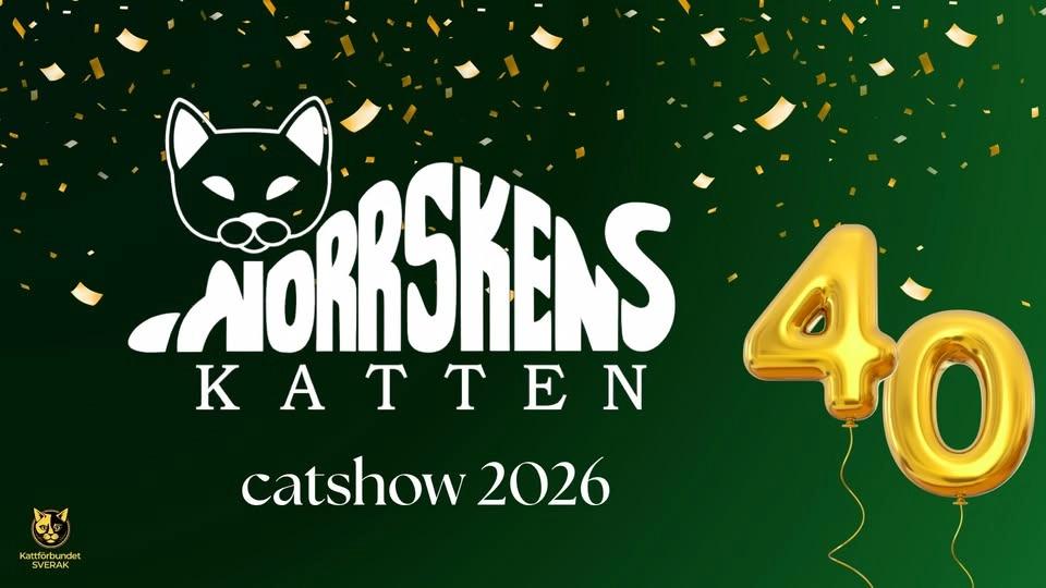 Norrskenskattens internationella kattutställning 2026