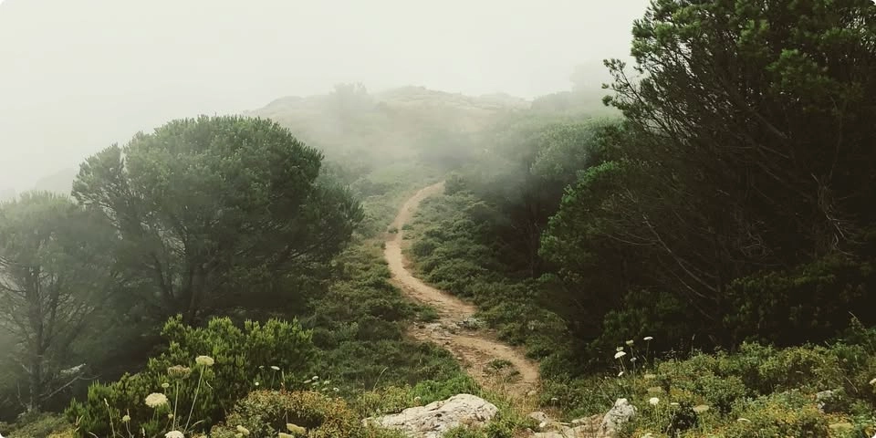 Discovering Buddhism: Presenting the Path