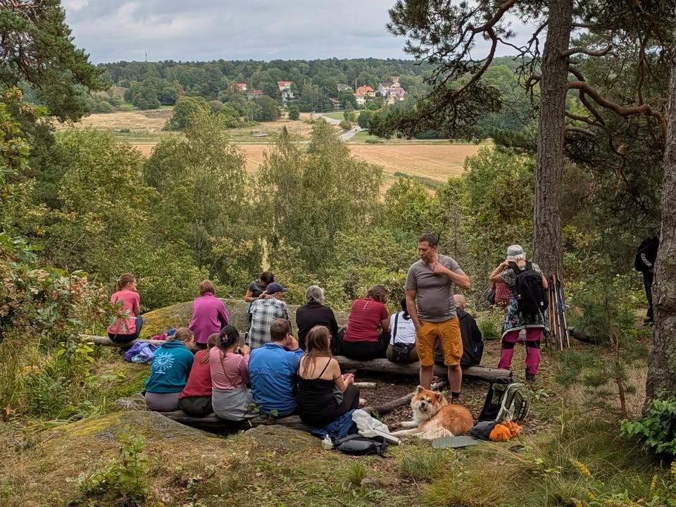 Vandring i Nåstens skogar