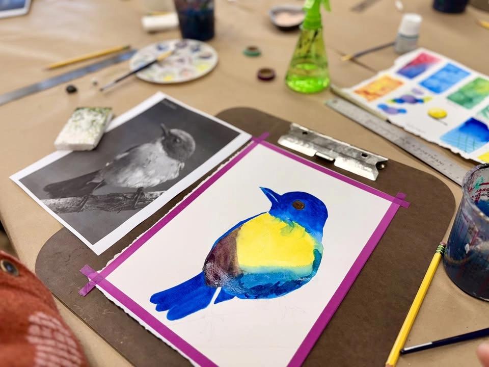 Watercolor - All Levels