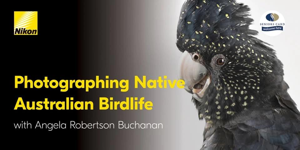 Photographing Native Australian Birdlife with Angela Robertson Buchanan