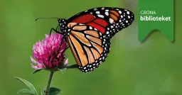 Biologiskt rika trädgårdar