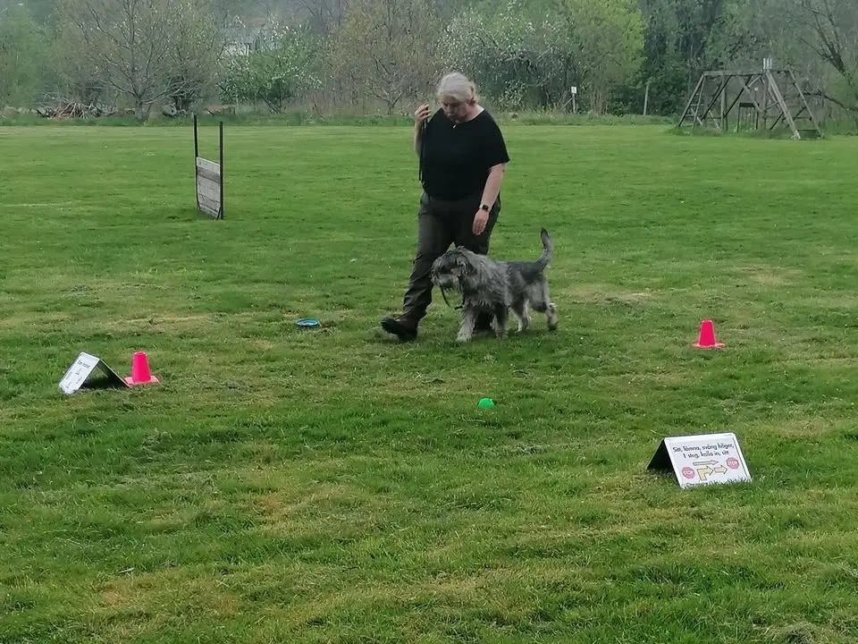 Rallylydnad - steg 1