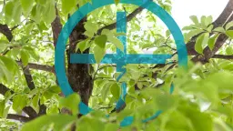 Infoabend: Prozessberatungs-/Coaching-Qualifizierung