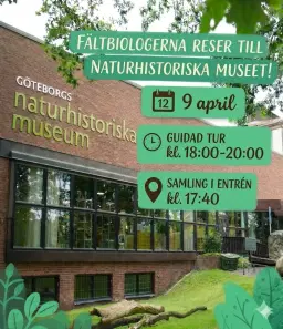 Fältbiologerna guidad tur på naturhistoriska museet!