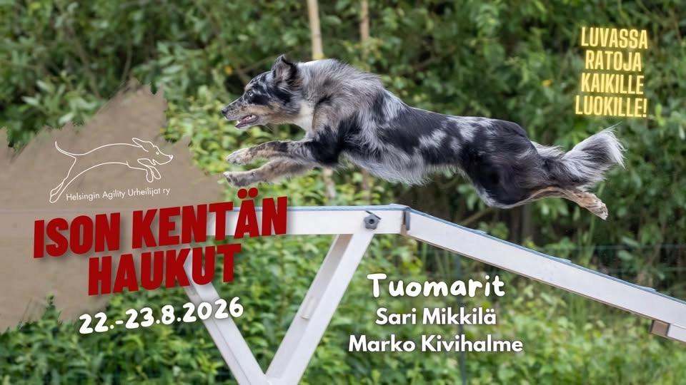 Ison kentän HAUkut