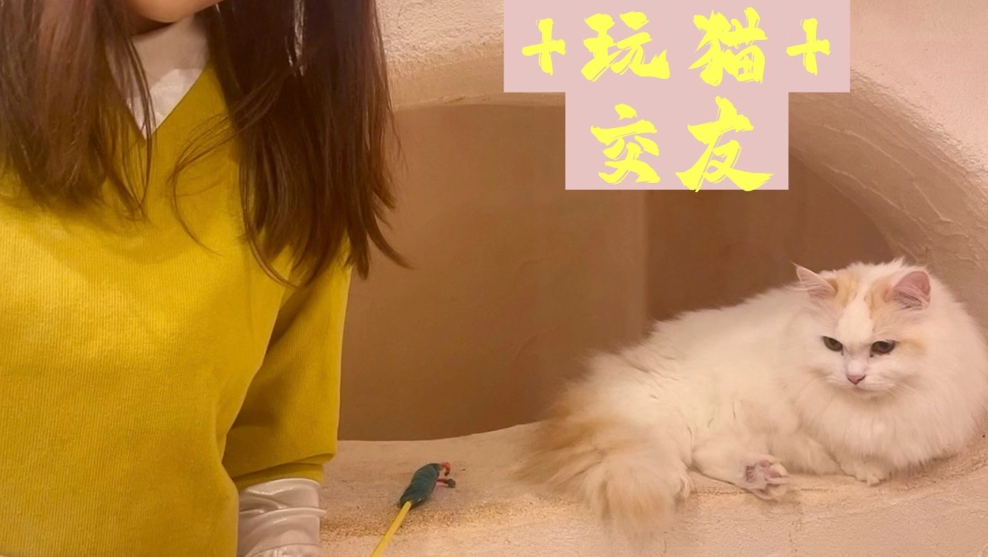 Makes News Friends Through cat cafe + dinner 🌟