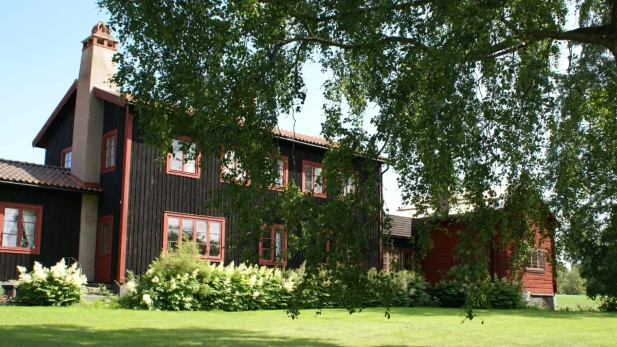 Guidad visning i Alfvéngården