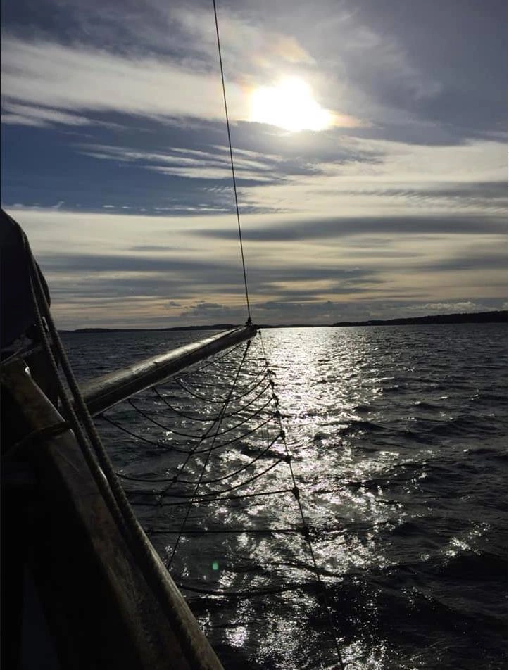 Nätverksträff Havsnätverket Ost och föreläsning om EU:s restaureringsförordning