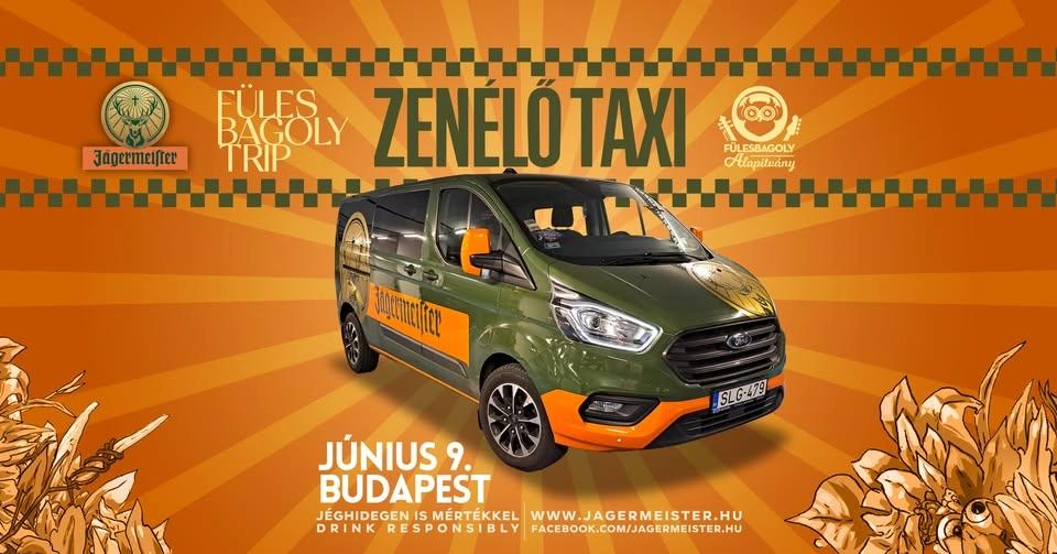 ZenĂ©lĆ Taxi @ Budapest