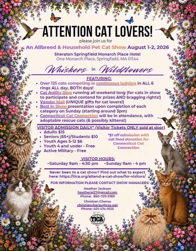 TICA Cat Show in Springfield Mass - Meet over Breeds, Rescues, and shop our Vendors!