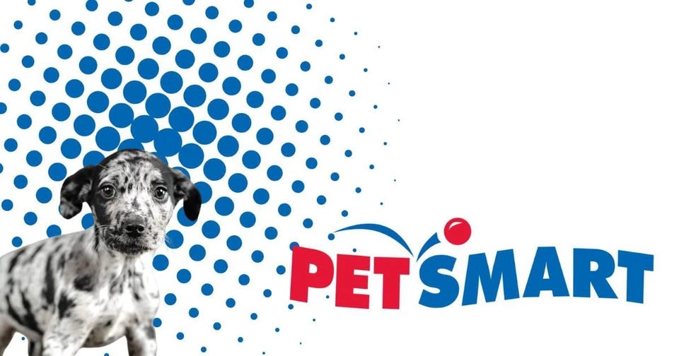 PetSmart Adoption Event - Lake Worth