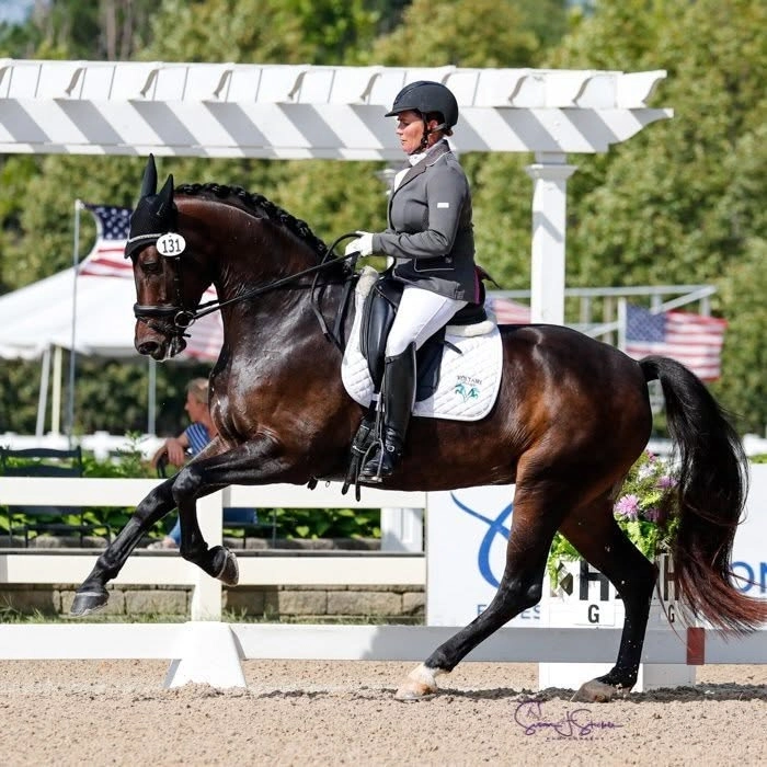 Olympic Medalist Michelle Gibson Dressage Clinic
