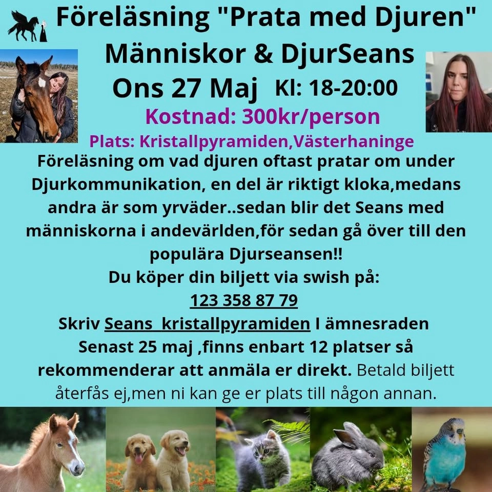 Talking to spirits- Djurseansen!
