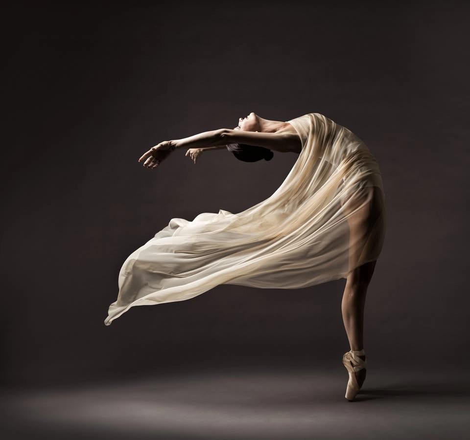 The Pelvic Diaphragm by Julie Hammond