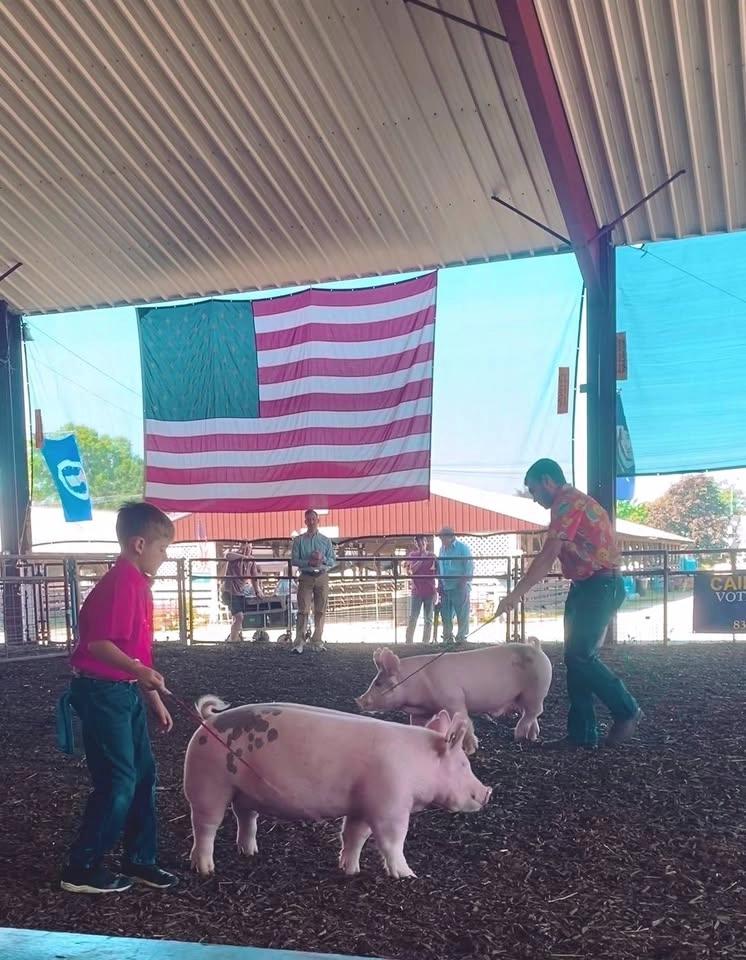 NJ State Fair Open Pig Show