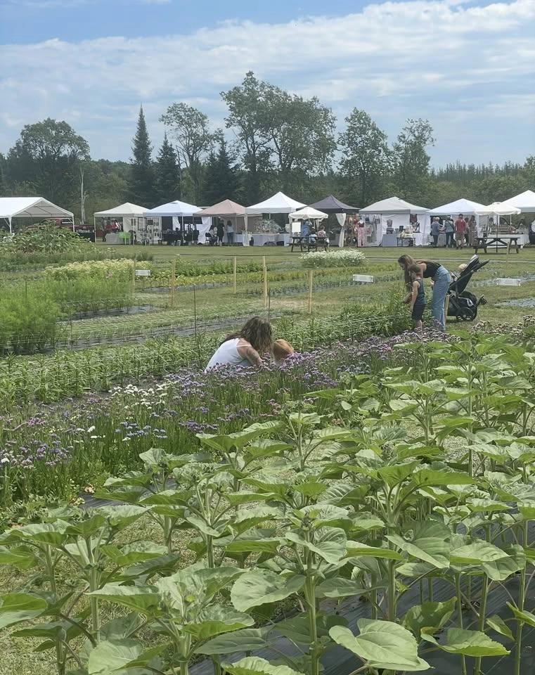 Bloomfest 2026