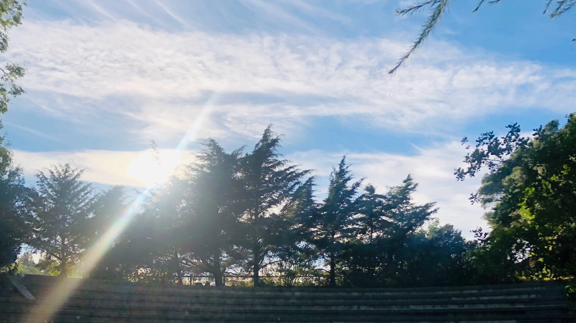 AFTERNOON WALK 🌿☀️