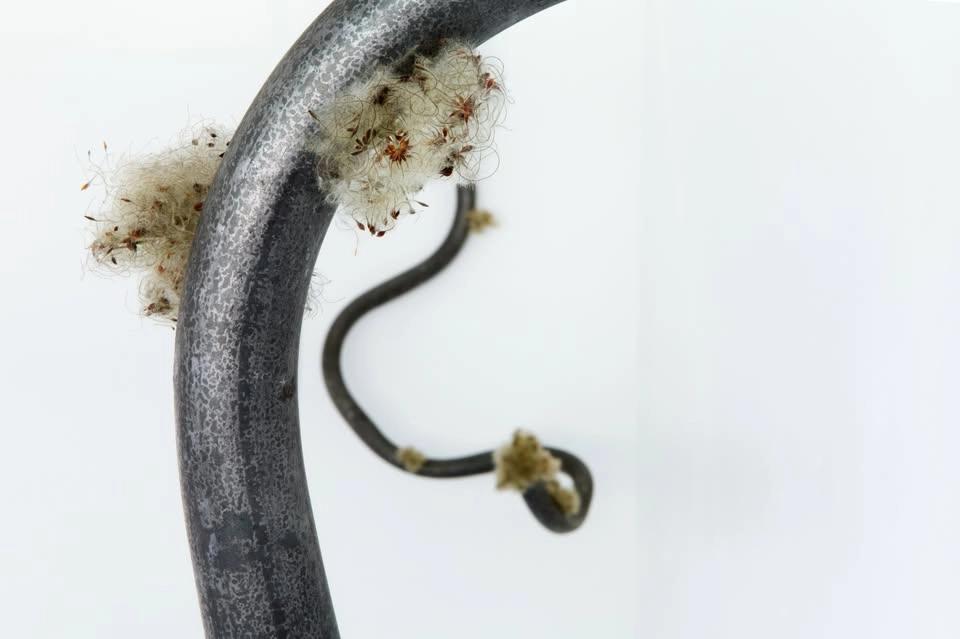 Craft Days: Frön — My Sjöberg • Utställning på Galleri Konstepidemin
