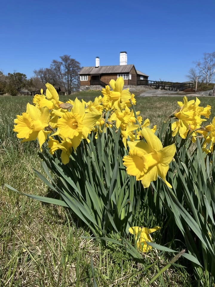 Bullerö i gångna tider