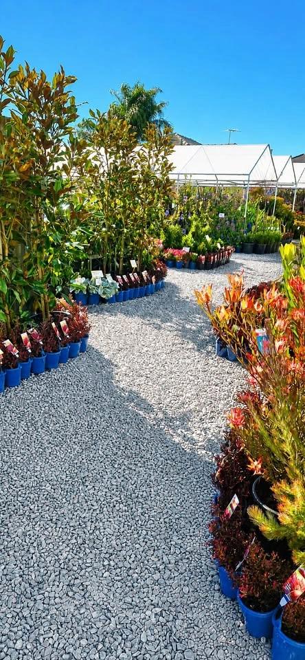 Nursery Open Day