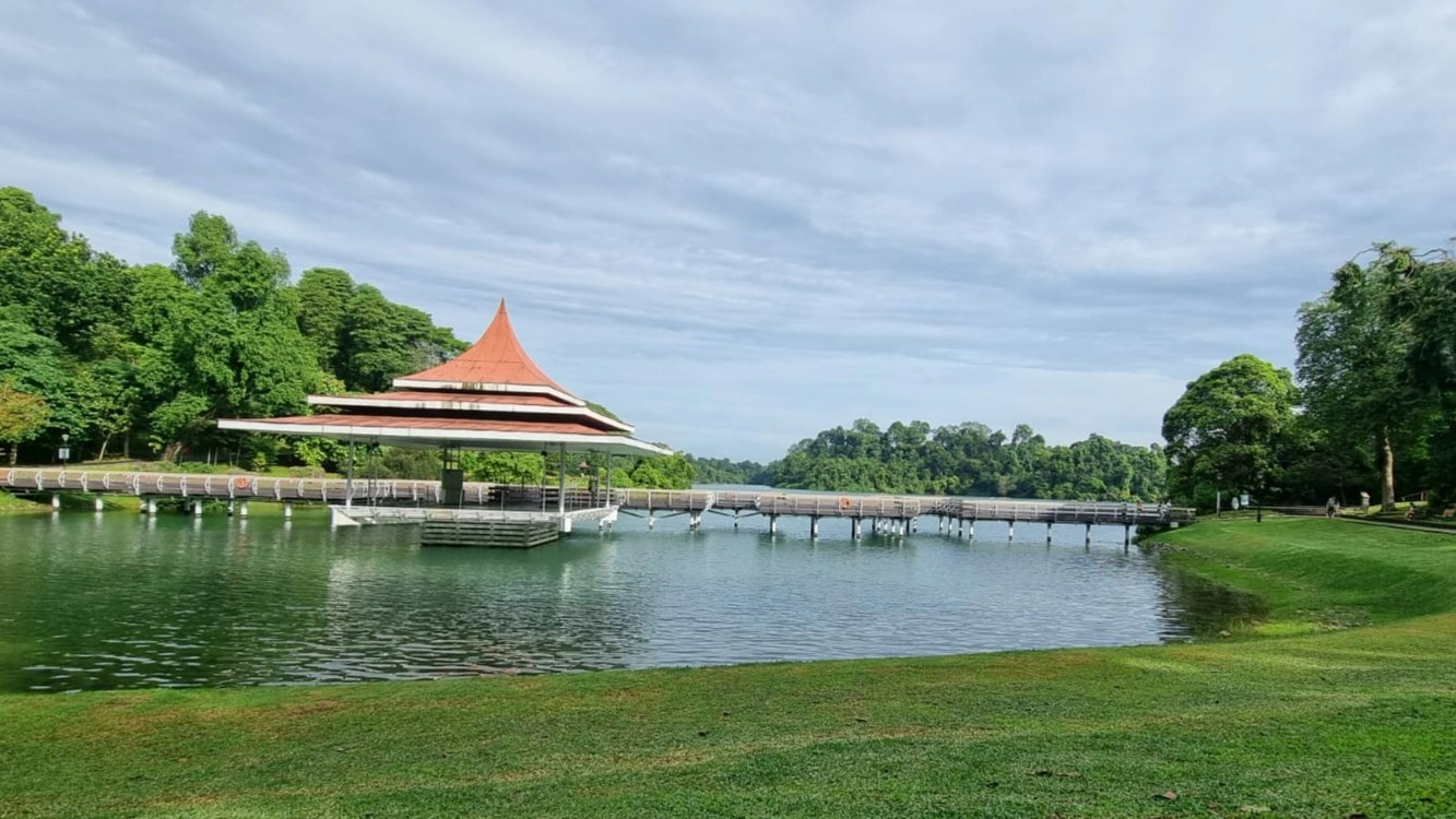 A scenic walk around MacRitchie Reservoir Park