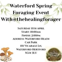 Waterford Foraging Walk