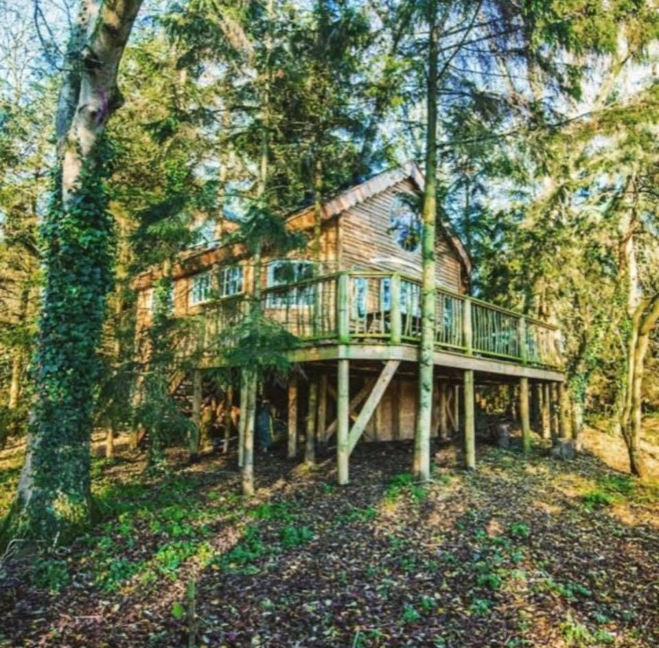 Treehouse Well Being Meditation Retreat, Norfolk