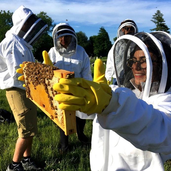 Meet the Bees Hive Tour - Brooklyn, 7/11/26