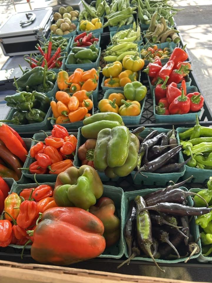 Farm Stand
