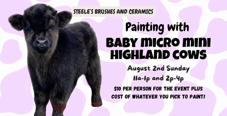 Painting with Baby Micro Mini Highland Cows