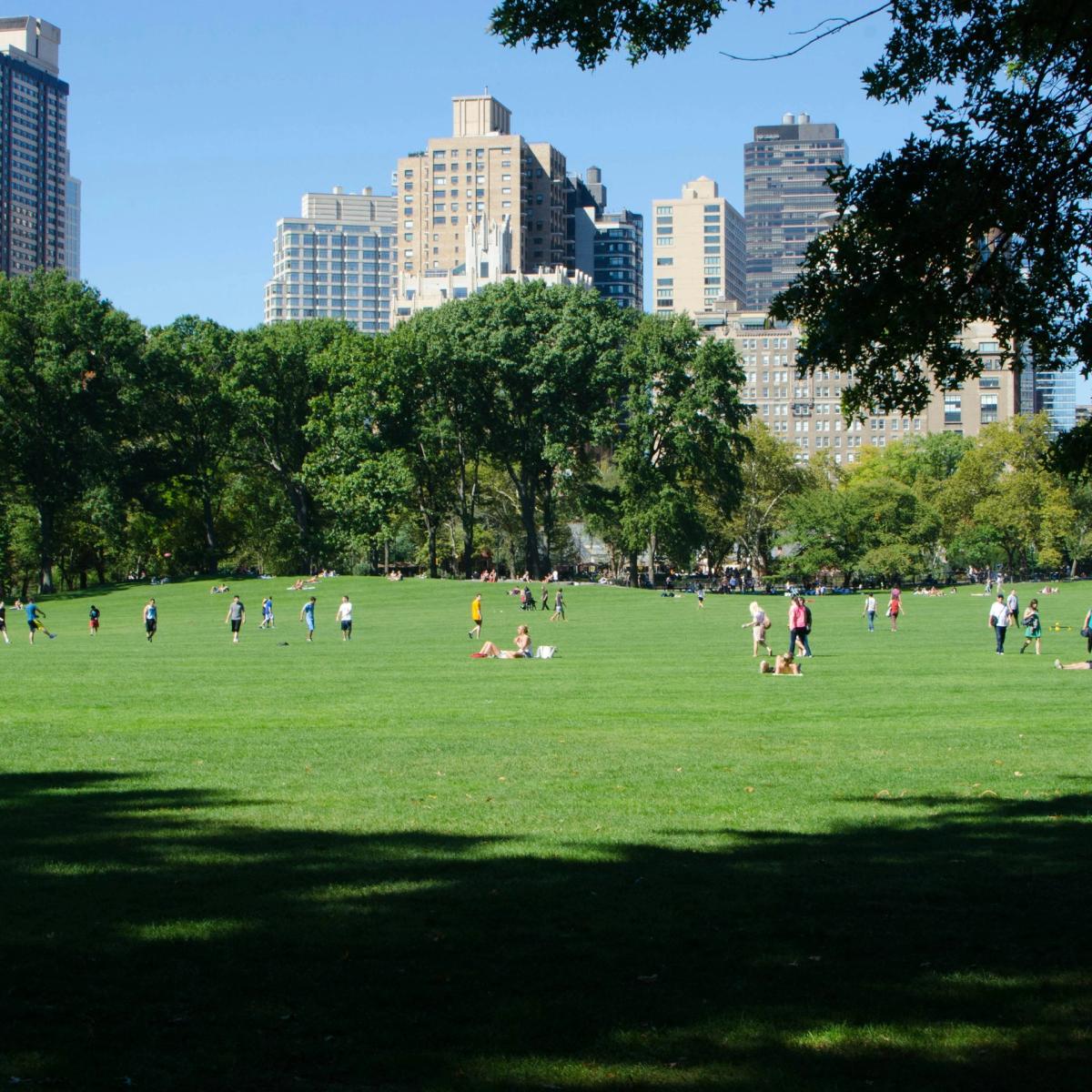 Guava in the Park - Central Park Founder Meetup